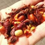 -Si mangiano le Chapulines